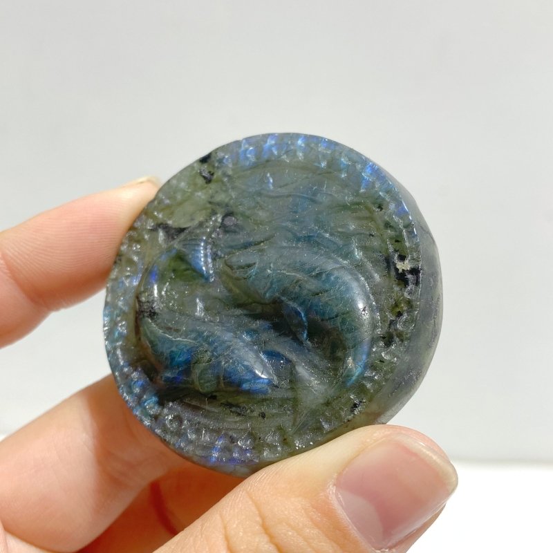 20 Pieces Labradorite Constellation Carving Clearance - Wholesale Crystals