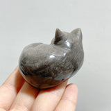 20 Pieces Silver Sheen Obsidian Sleeping Cat Carving - Wholesale Crystals