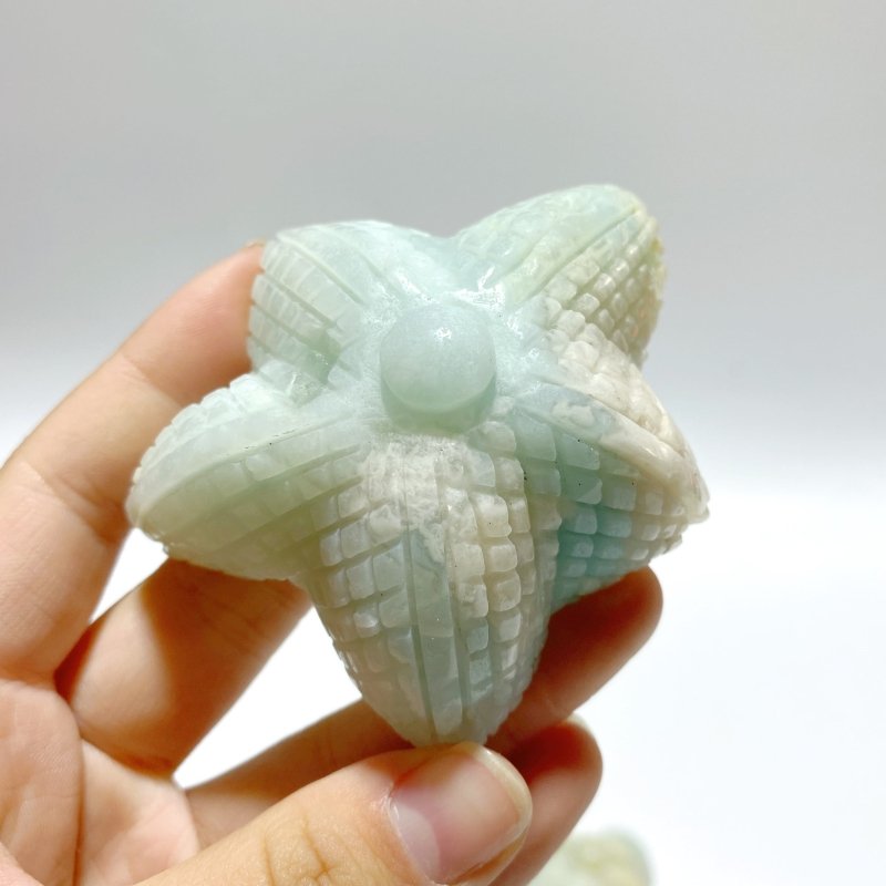 23 Pieces Caribbean Calcite Sea Animals Carving - Wholesale Crystals
