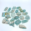 23 Pieces Caribbean Calcite Sea Animals Carving - Wholesale Crystals