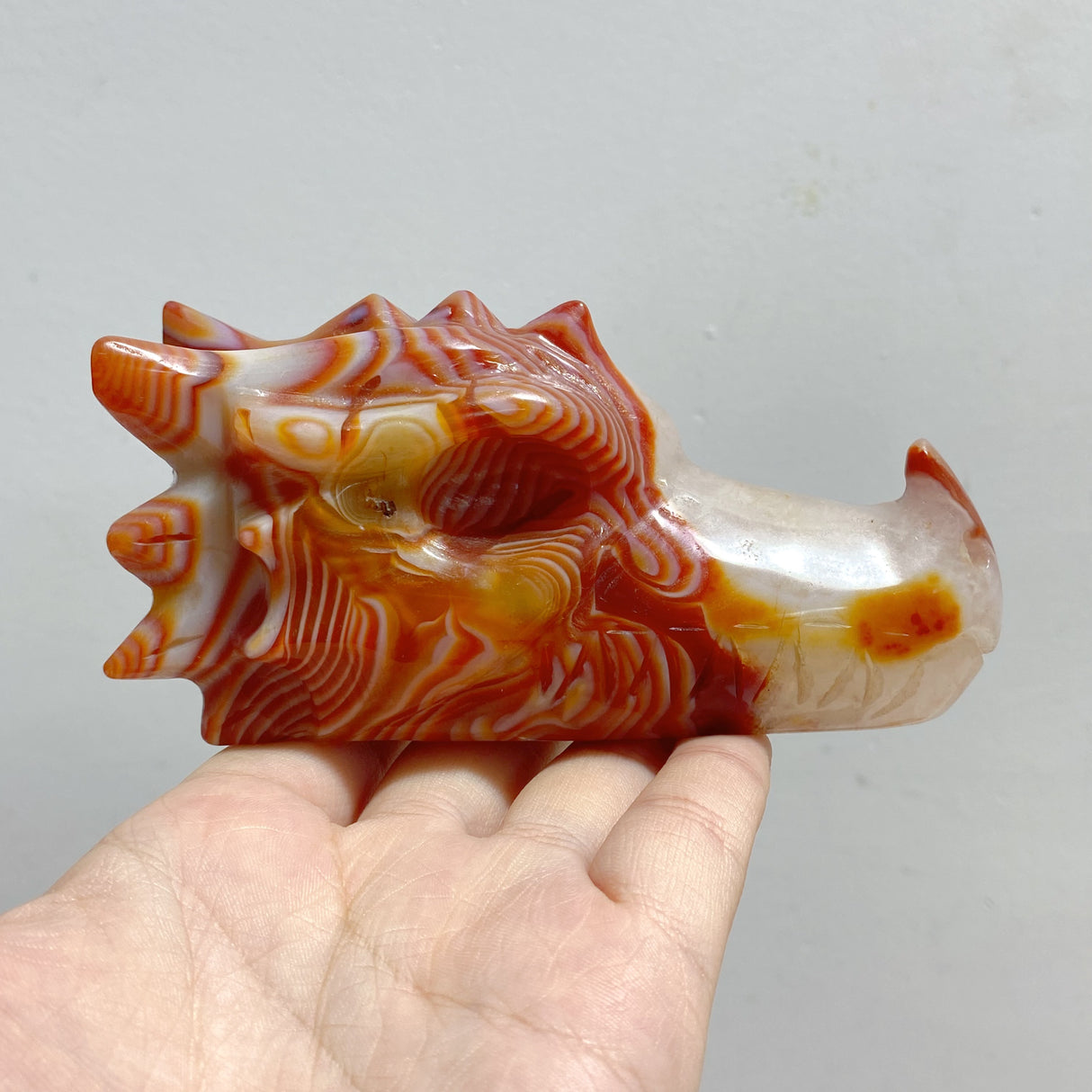 7 Pieces Carnelian Dragon Head Carving