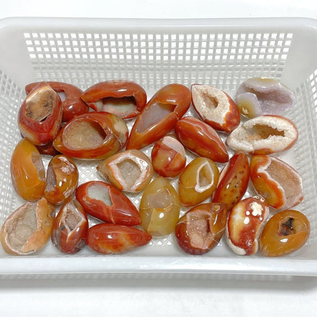 25 Pieces Beautiful Geode Druzy Carnelian - Wholesale Crystals