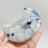 5 Pieces India Moonstone Moon Carving With Stand