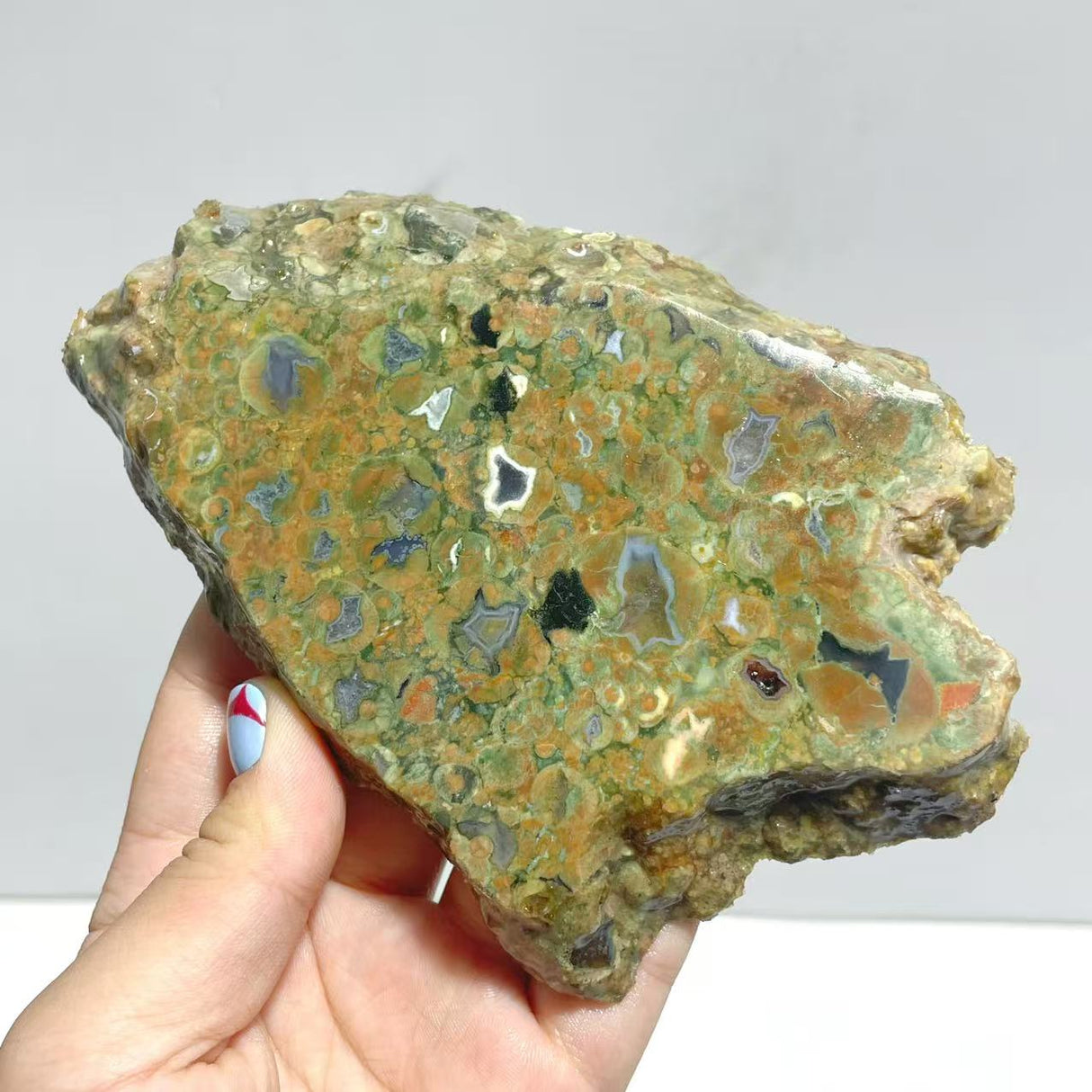 11 Pieces Peacock Eye Rain Forest Jasper Slab