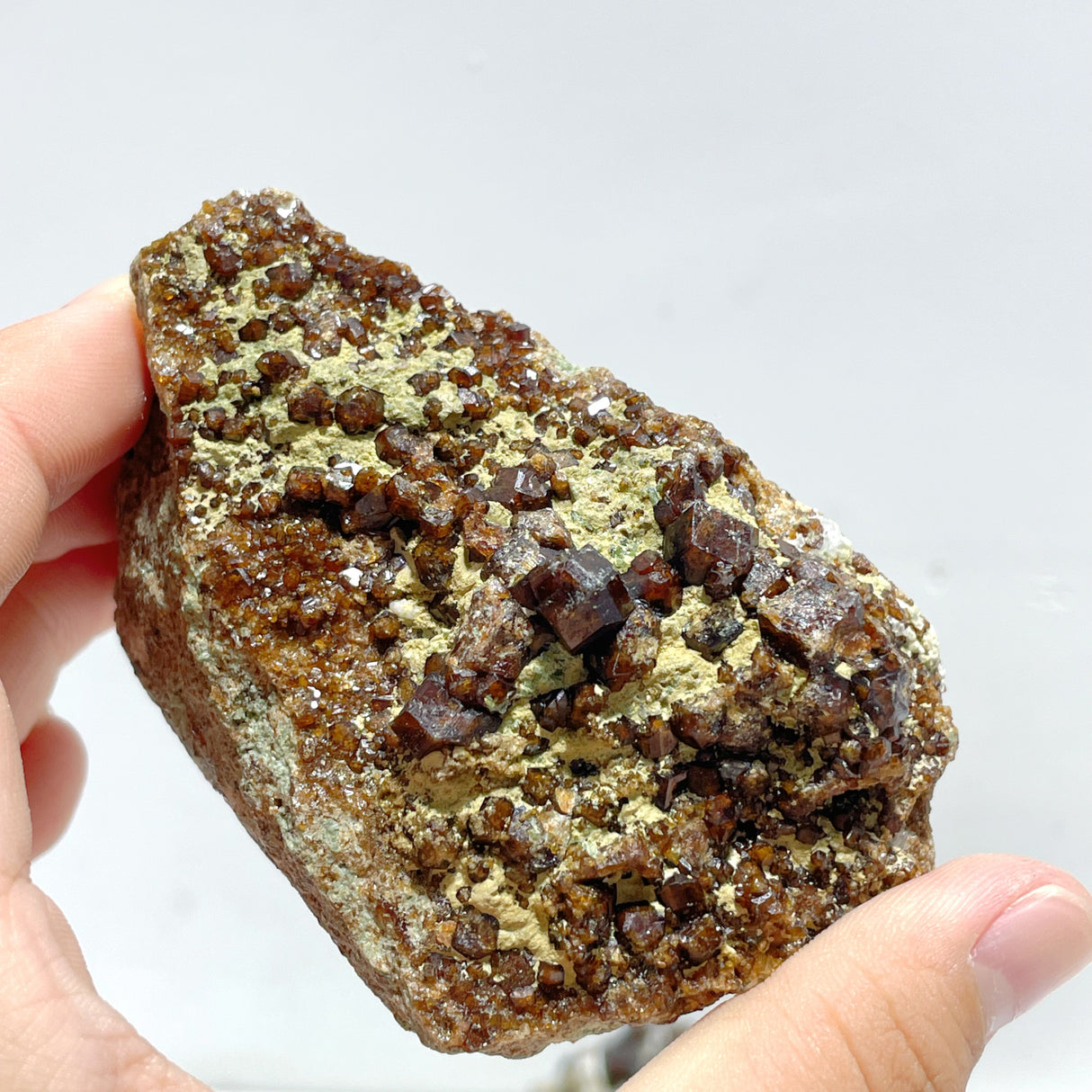 11 Pieces Raw Garnet Specimen For Collection