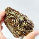11 Pieces Raw Garnet Specimen For Collection