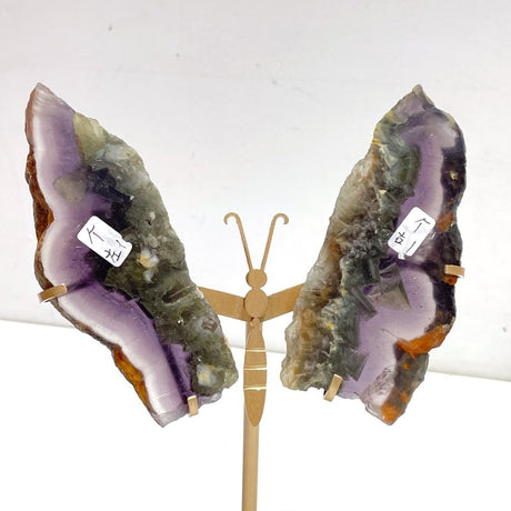 3 Pairs Fluorite Mixed Pyrite Butterfly Wing With Stand 5 - Wholesale Crystals