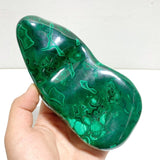 3 Pieces High Quality Polished Malachite Free Form - Wholesale Crystals