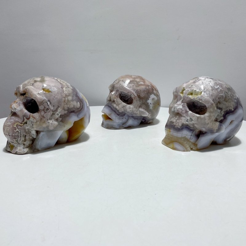 3 Pieces Large Geode Sakura Flower Agate Skull Carving - Wholesale Crystals