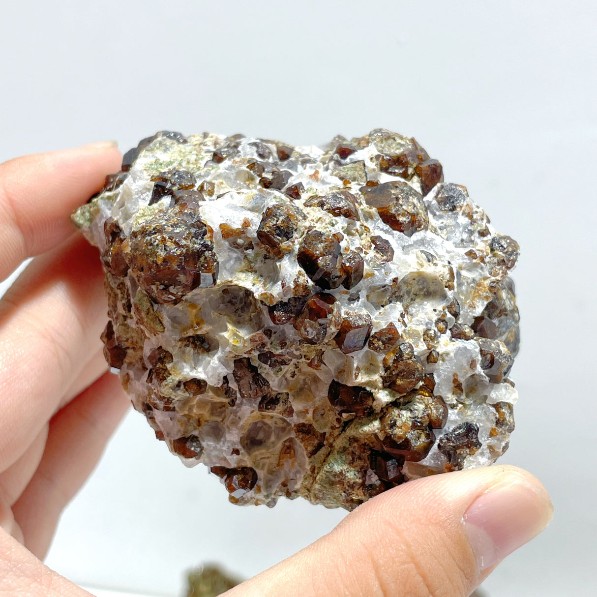 11 Pieces Raw Garnet Specimen For Collection