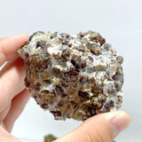 11 Pieces Raw Garnet Specimen For Collection