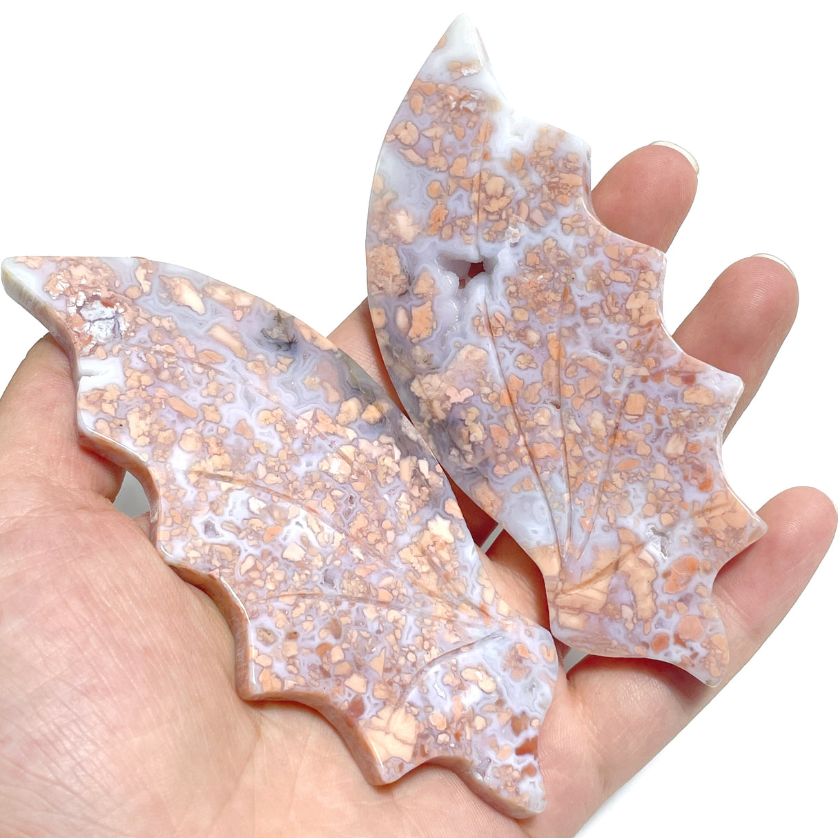 5 Pairs Flying Dragon Wing With Stand Chevron Amethyst Pink Agate
