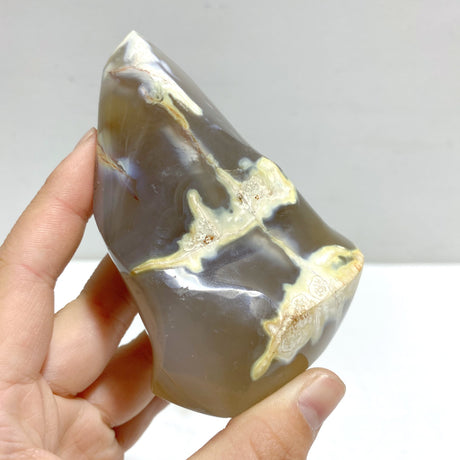 12 Pieces Black Orca Agate Flame Carving #1