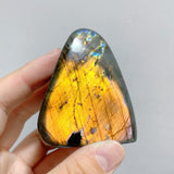 35 Pieces Polished Labradorite Free Form -Wholesale Crystals