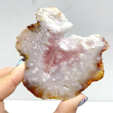 39 Pieces Sakura Flower Agate Slab - Wholesale Crystals