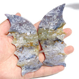 6 Pairs Ocean Jasper Flying Dragon Wing With Stand