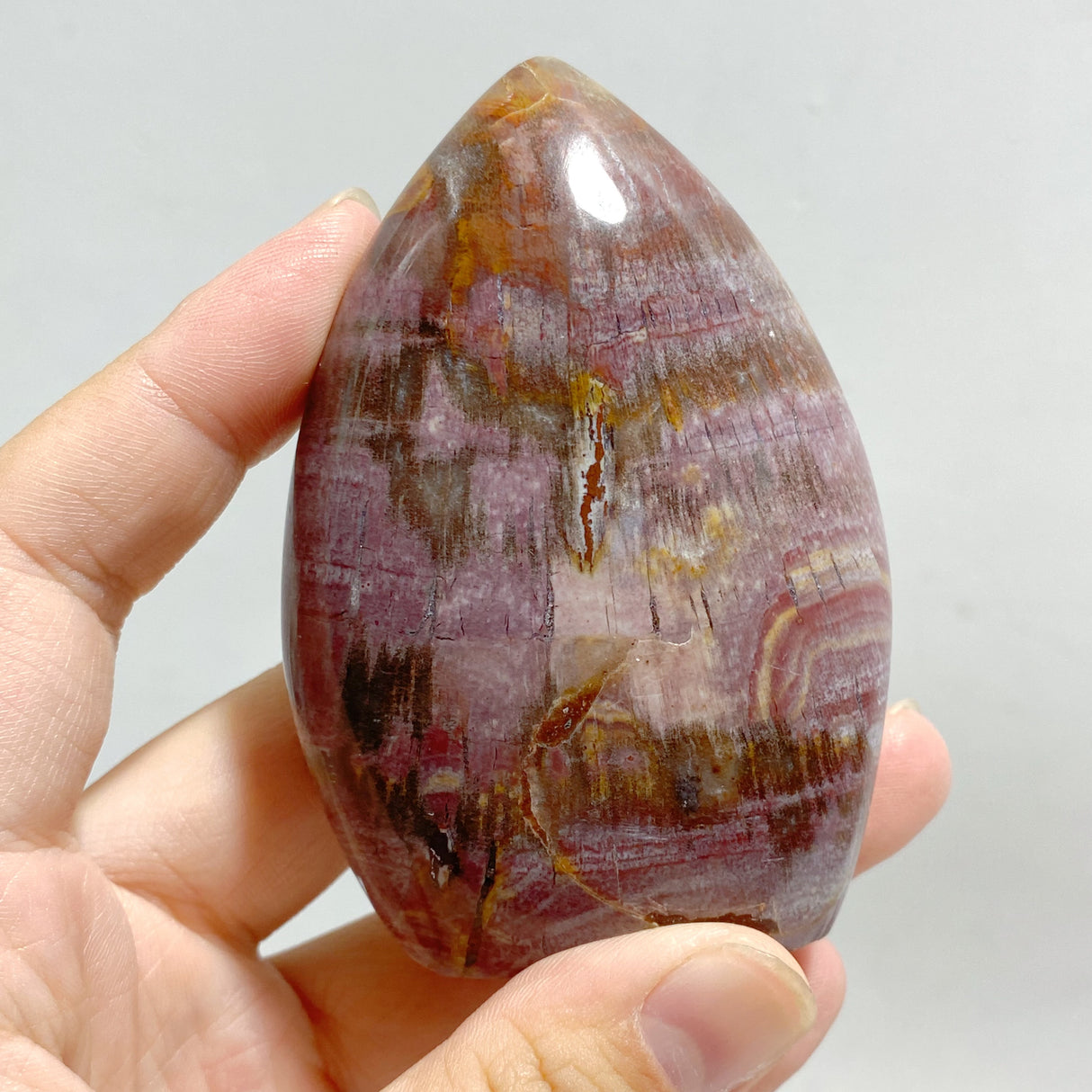 20 Pieces Petrified Wood Stone Arrow Head Shape