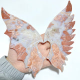 4 Pairs Demon And Angel Wing Carving With Stand Africa Blood Stone Sodalite - Wholesale Crystals