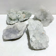 4 Pieces Raw Apophyllite Mineral Specimen -Wholesale Crystals