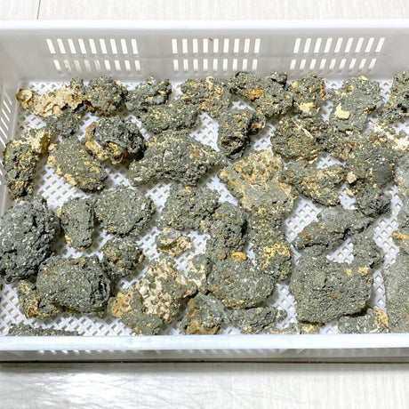 45 Pieces Raw Pyrite Stones (Sea Freight Only) -Wholesale Crystals