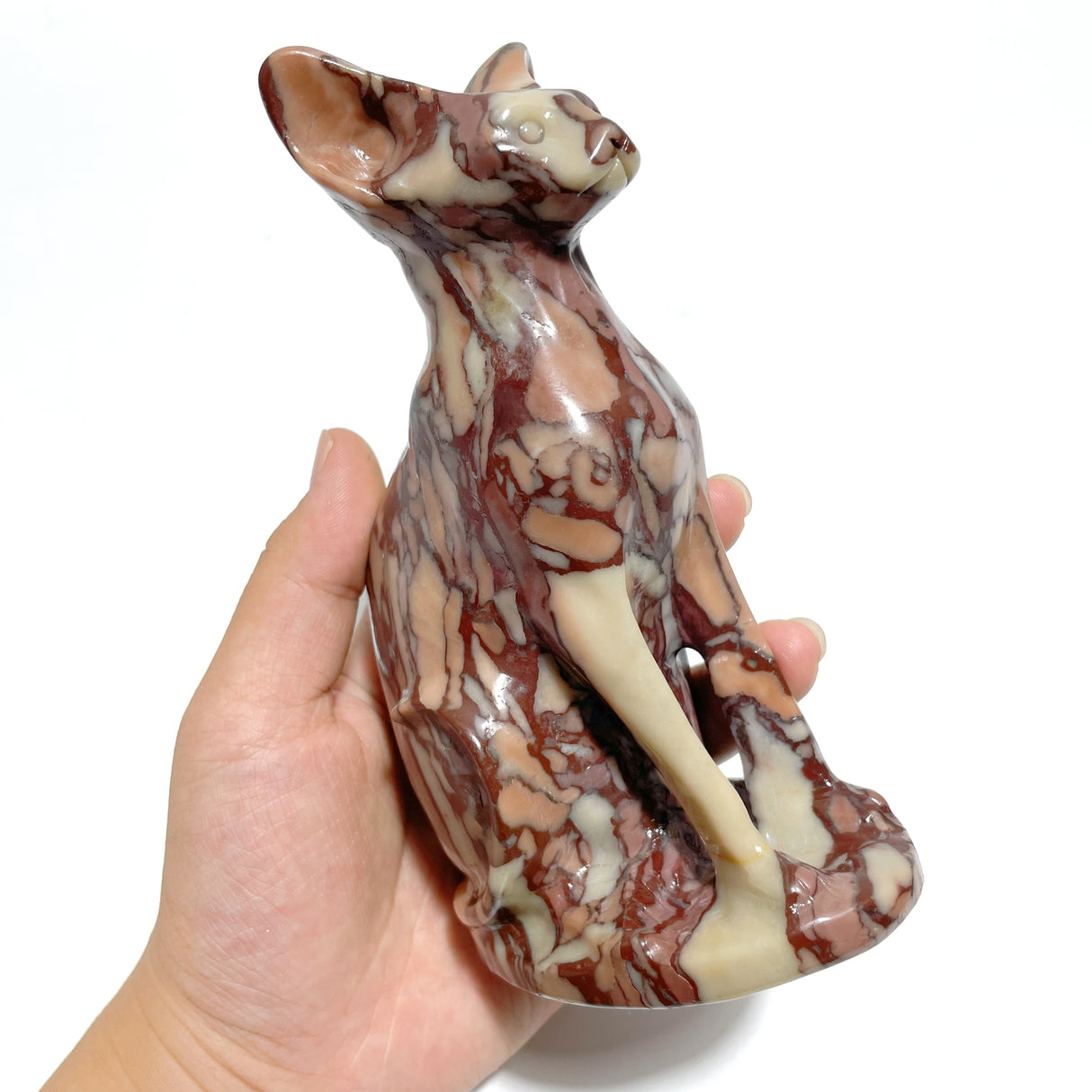 3 Pieces China Red Stone Cat Carving