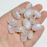 Small High Quality Blue Moonstone Free Form Wholesale