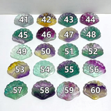 Rainbow Fluorite Shell Wholesale (No.41-60)