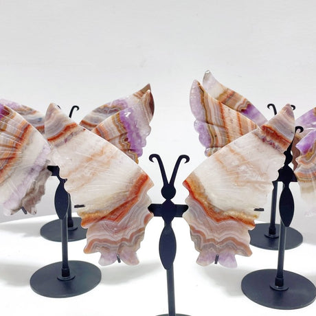 5 Pairs Beautiful Amethyst Mixed Stripe Agate Butterfly Wing Carving With Stand - Wholesale Crystals
