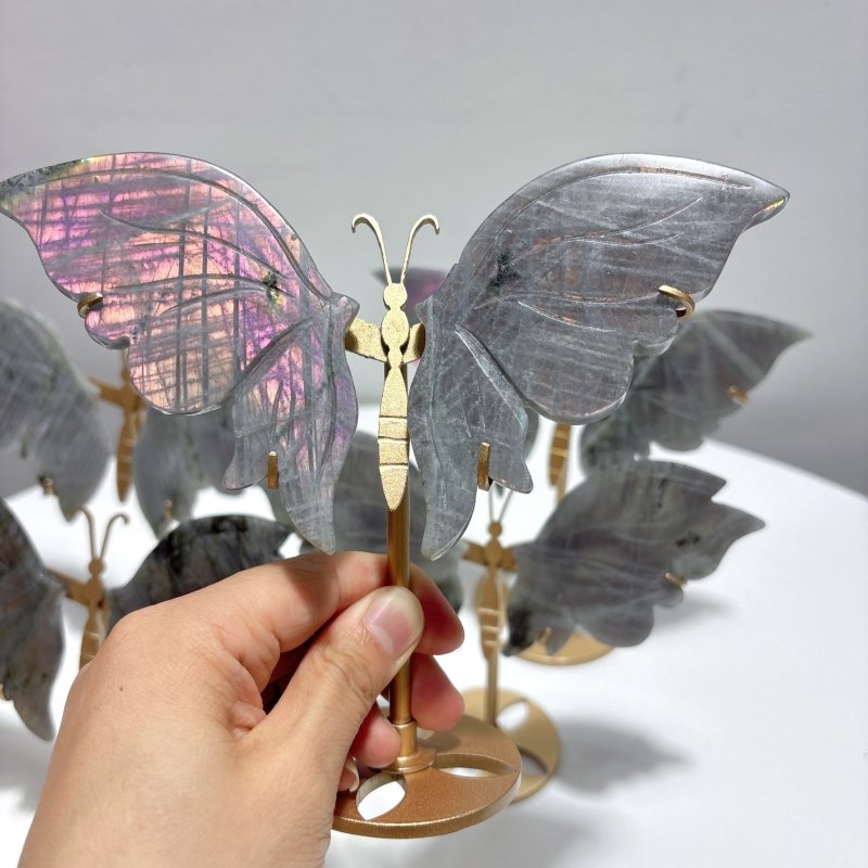 5 Pairs Purple Labradorite Butterfly Wing Carving With Stand - Wholesale Crystals