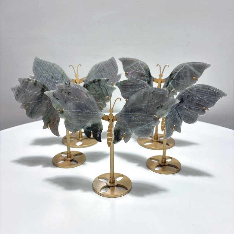 5 Pairs Purple Labradorite Butterfly Wing Carving With Stand - Wholesale Crystals