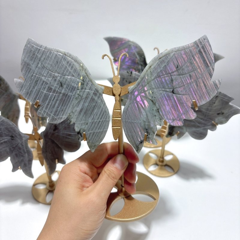 5 Pairs Purple Labradorite Butterfly Wing Carving With Stand - Wholesale Crystals