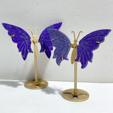 5 Pairs Small Lapis Lazuli Butterfly Wing Carving With Stand -Wholesale Crystals