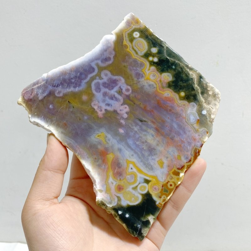 5 Pieces 8th Vein Ocean Jasper Slab -Wholesale Crystals