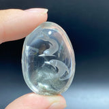5 Pieces Beautiful Dolphin Garden Quartz Inner Scene Carving -Wholesale Crystals