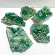 5 Pieces Green Fluorite Raw Specimen Cubic Stone -Wholesale Crystals