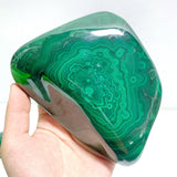 5 Pieces High Quality Polished Malachite Free Form - Wholesale Crystals