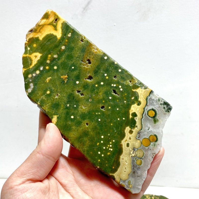5 Pieces Large 8th Vein Ocean Jasper Slabs - Wholesale Crystals