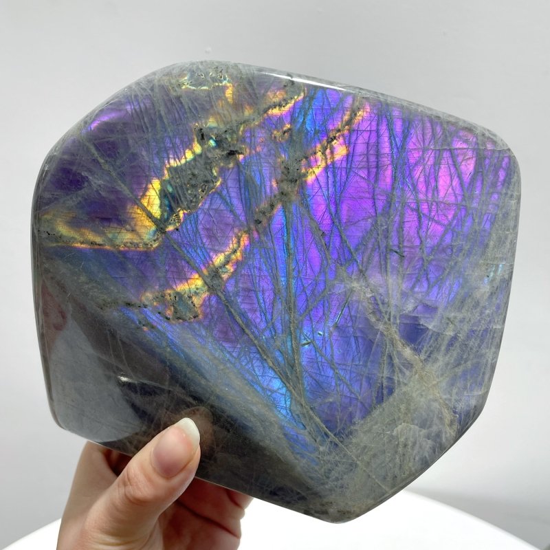 5 Pieces Large Labradorite Free Form High Quality - Wholesale Crystals