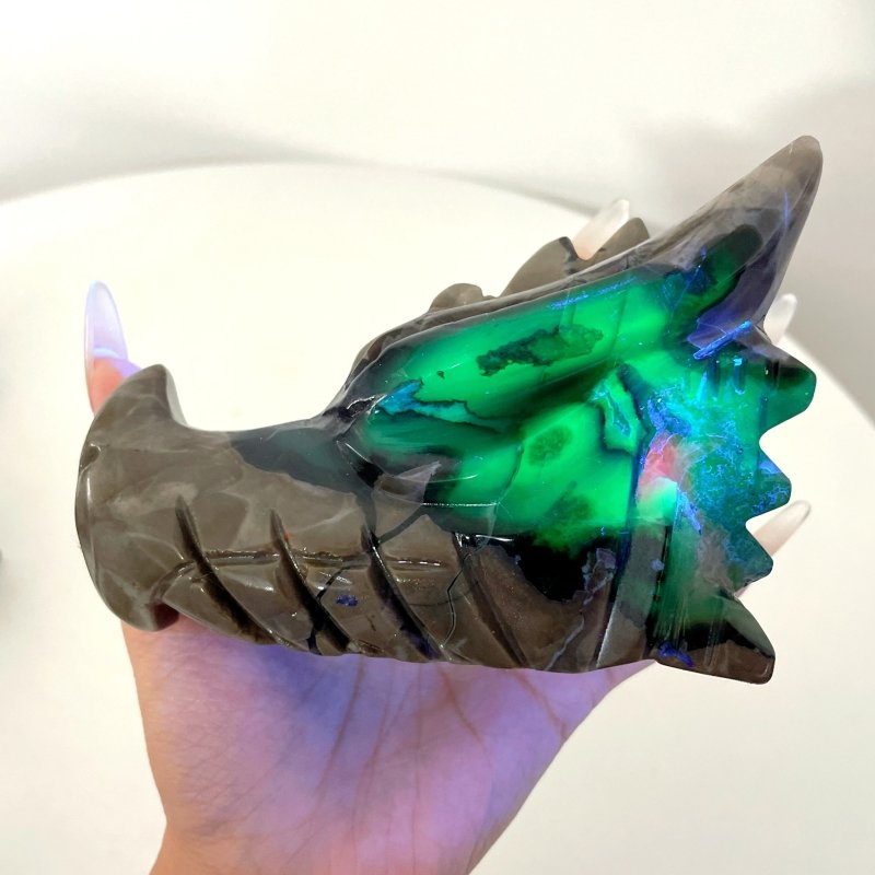 5 Pieces Volcanic Agate Dragon Head Carving(UV - Reactive) - Wholesale Crystals