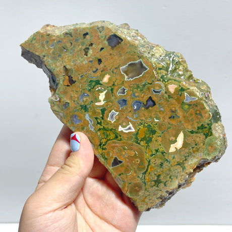 11 Pieces Peacock Eye Rain Forest Jasper Slab