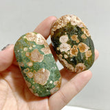 Rainforest Jasper Palm Stone Wholesale
