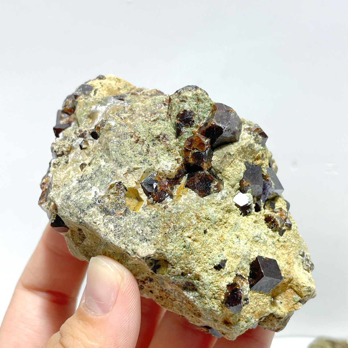11 Pieces Raw Garnet Specimen For Collection
