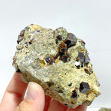 11 Pieces Raw Garnet Specimen For Collection
