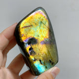 18 Pieces Beautiful Polished Labradorite Free Form