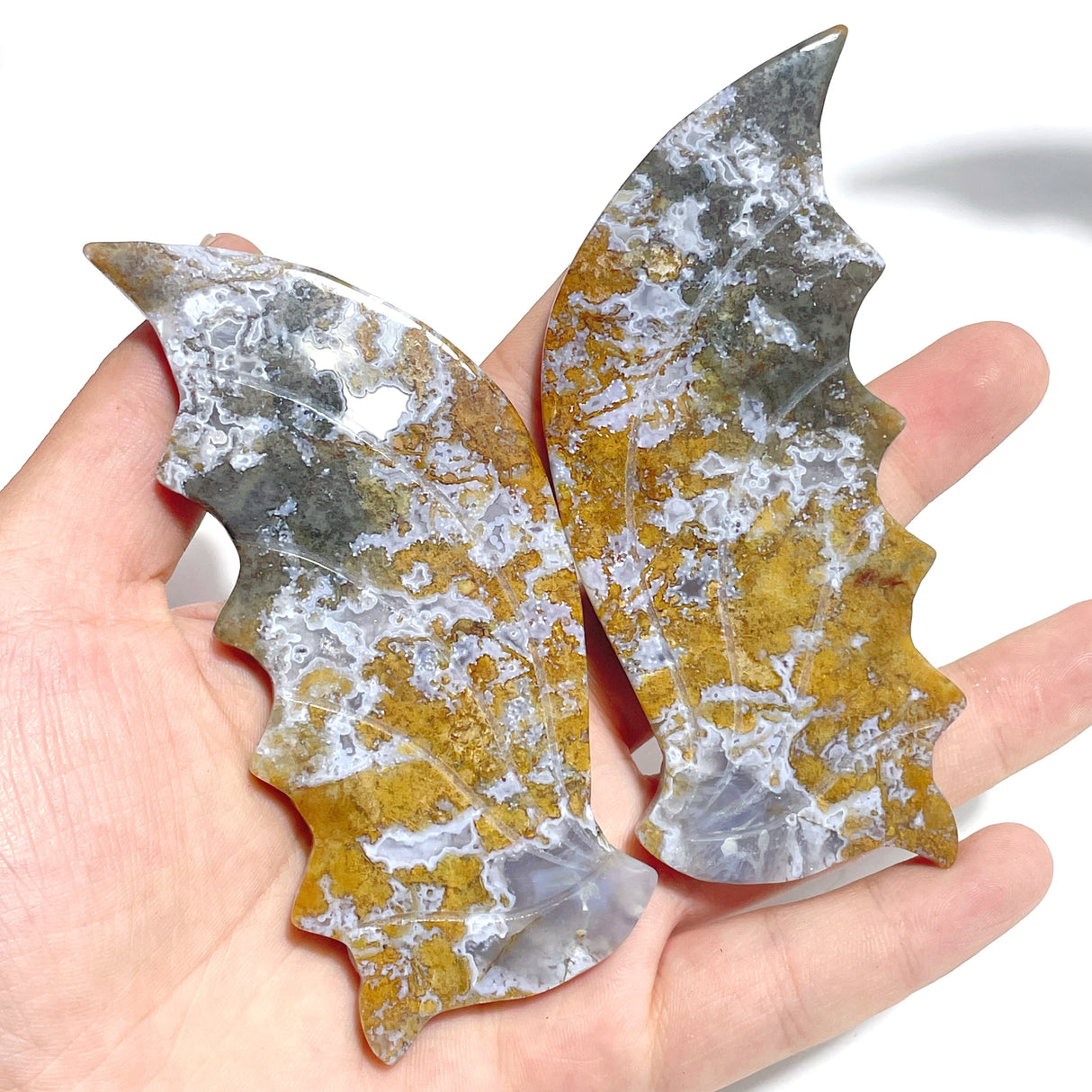 6 Pairs Ocean Jasper Flying Dragon Wing With Stand