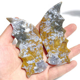 6 Pairs Ocean Jasper Flying Dragon Wing With Stand