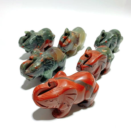 6 Pieces Africa Blood Stone Elephant Carving - Wholesale Crystals