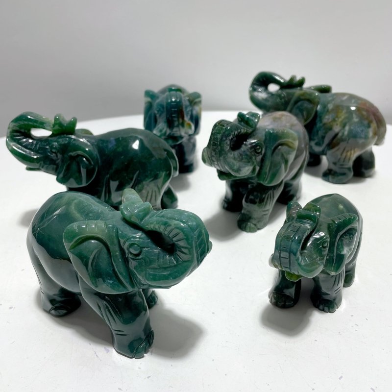 6 Pieces Beautiful Ocean Jasper Elephant Carving - Wholesale Crystals