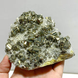 6 Pieces Pyrite Mixed Clear Quartz Cluster Specimen For Collection - Wholesale Crystals