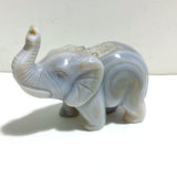 6 Pieces Small Geode Agate Druzy Elephant Carving - Wholesale Crystals